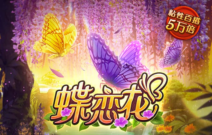 哈哈体育最新官网入口
